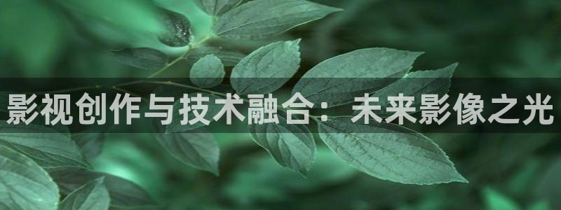 嫩草影院入口播放