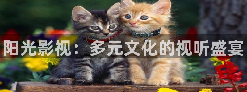 国产精品嫩草影院久久久