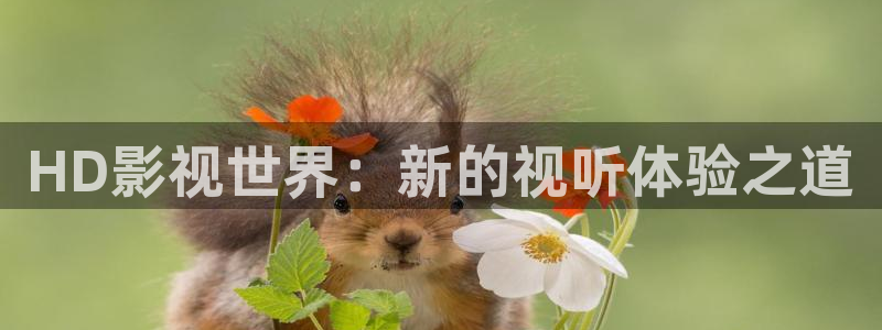 嫩草草草影院 懂你的影院